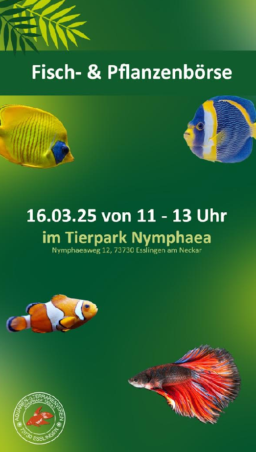 Börse_16.03.png